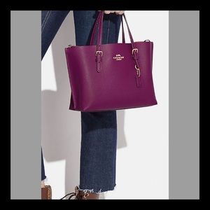 🎁 GIFTED🎁 NWOT 💜Coach Mollie Tote w/ Signature Canvas Interior💜